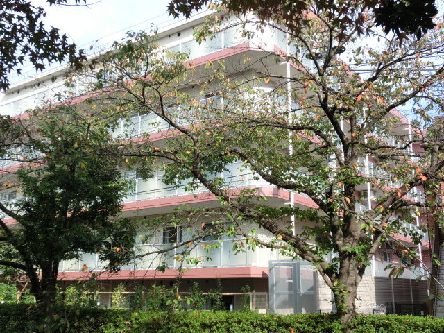 CIMG1857.JPG