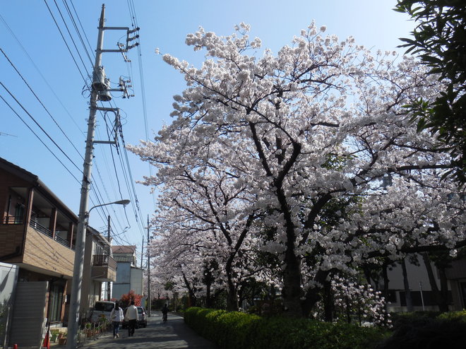 DSCN0544.JPG
