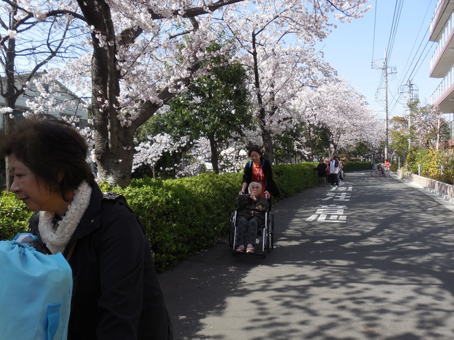 DSCN0546.JPG